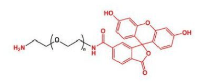 荧光素聚乙二醇氨基，FITC-PEG-NH2，NH2-PEG-FITC，氨基聚乙二醇荧光素