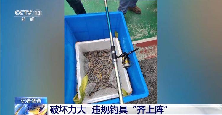 保护区里的“疯狂垂钓”屡禁不止！记者调查