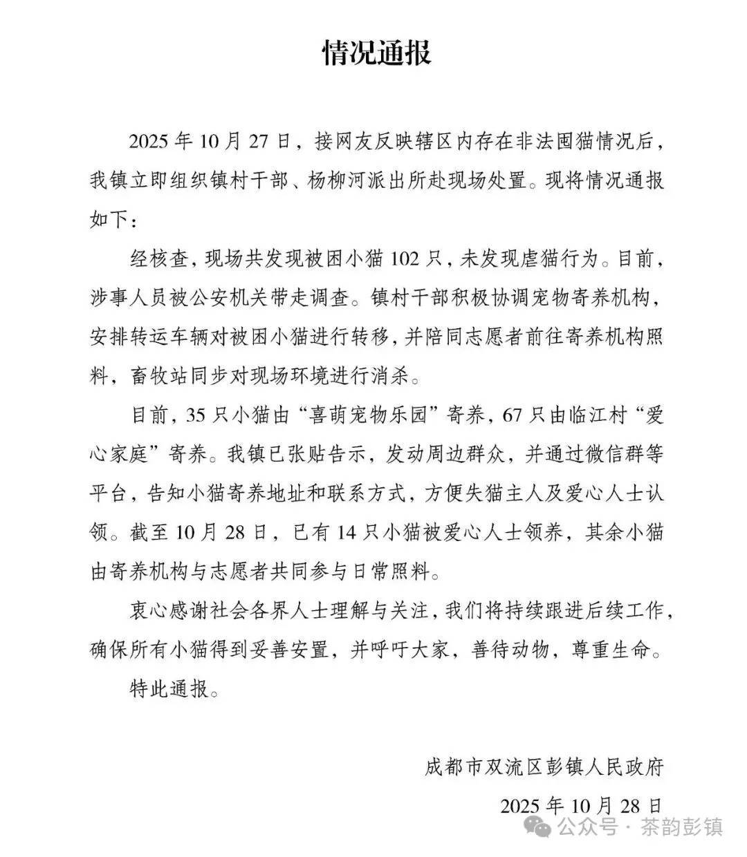 “成都一空置房非法囤猫”？官方通报：共发现被困小猫102只，未发现虐猫行为