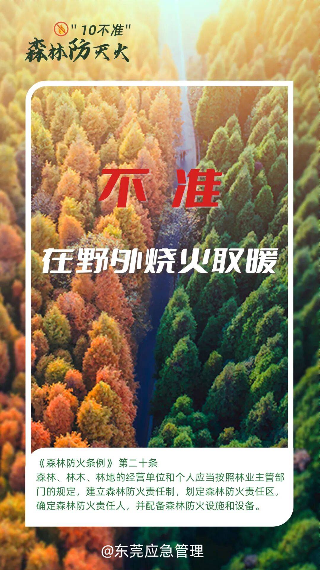 深圳坪山区突发山火，最新通报：明火已扑灭，无人员伤亡