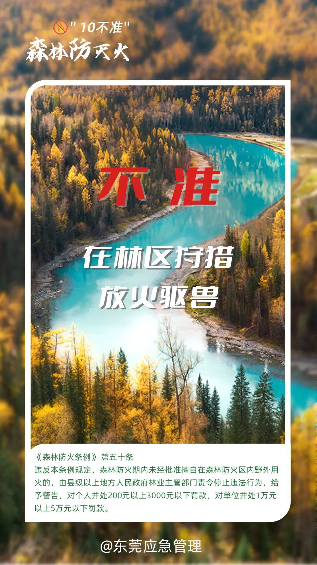 深圳坪山区突发山火，最新通报：明火已扑灭，无人员伤亡
