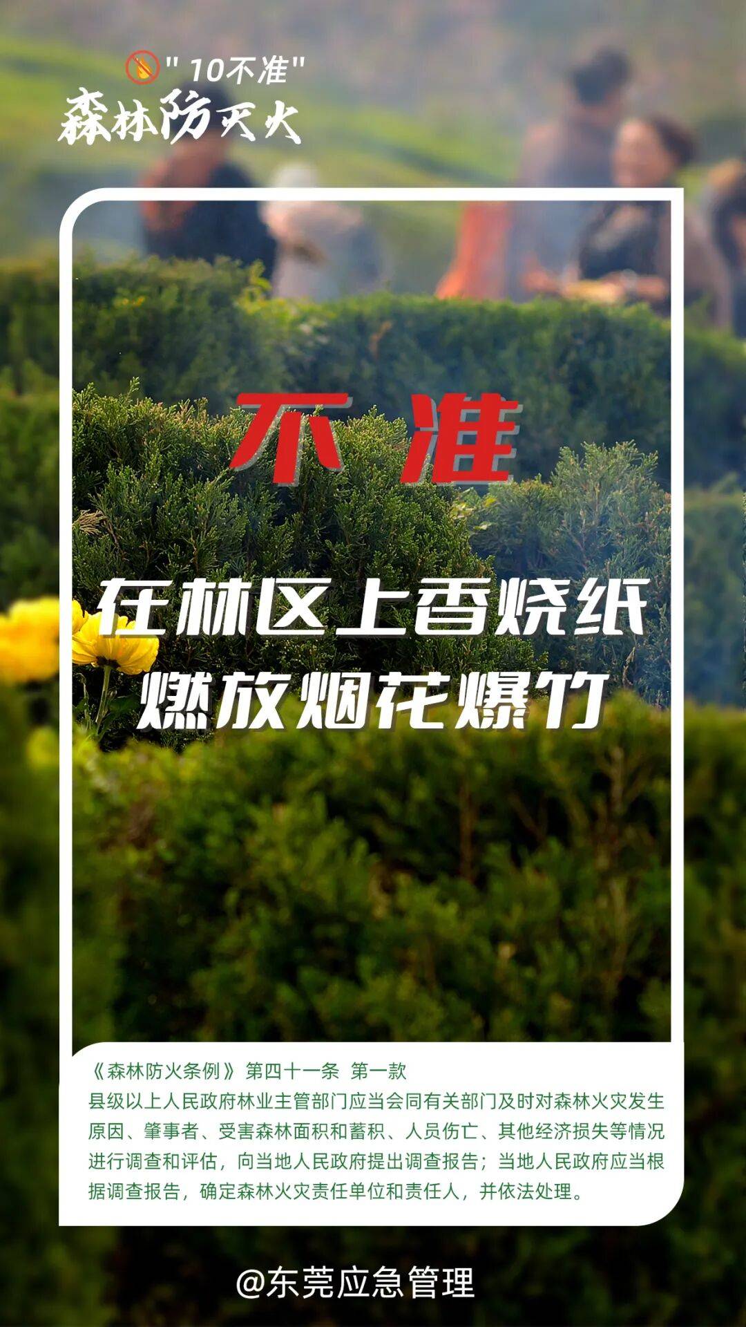 深圳坪山区突发山火，最新通报：明火已扑灭，无人员伤亡