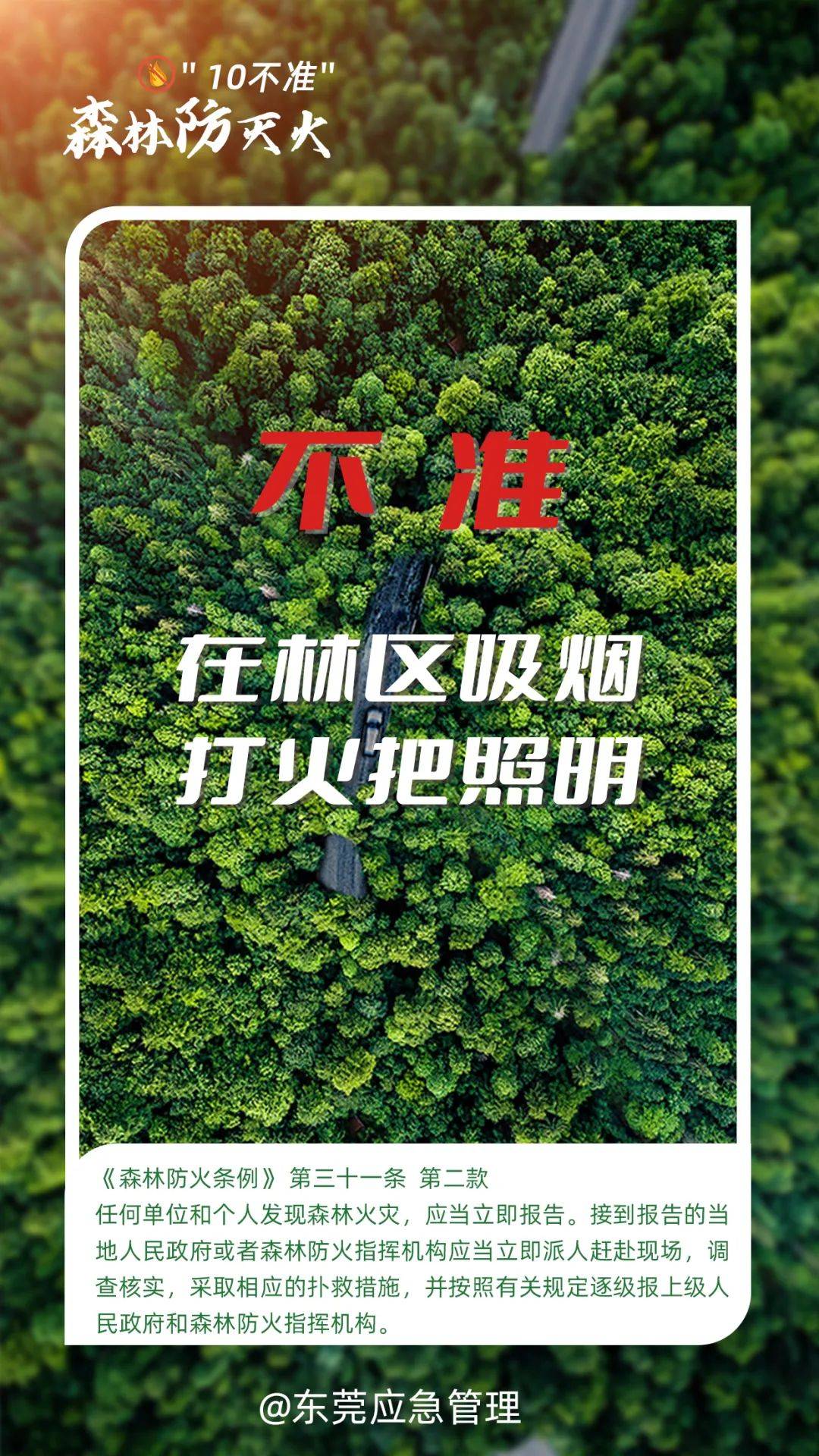 深圳坪山区突发山火，最新通报：明火已扑灭，无人员伤亡