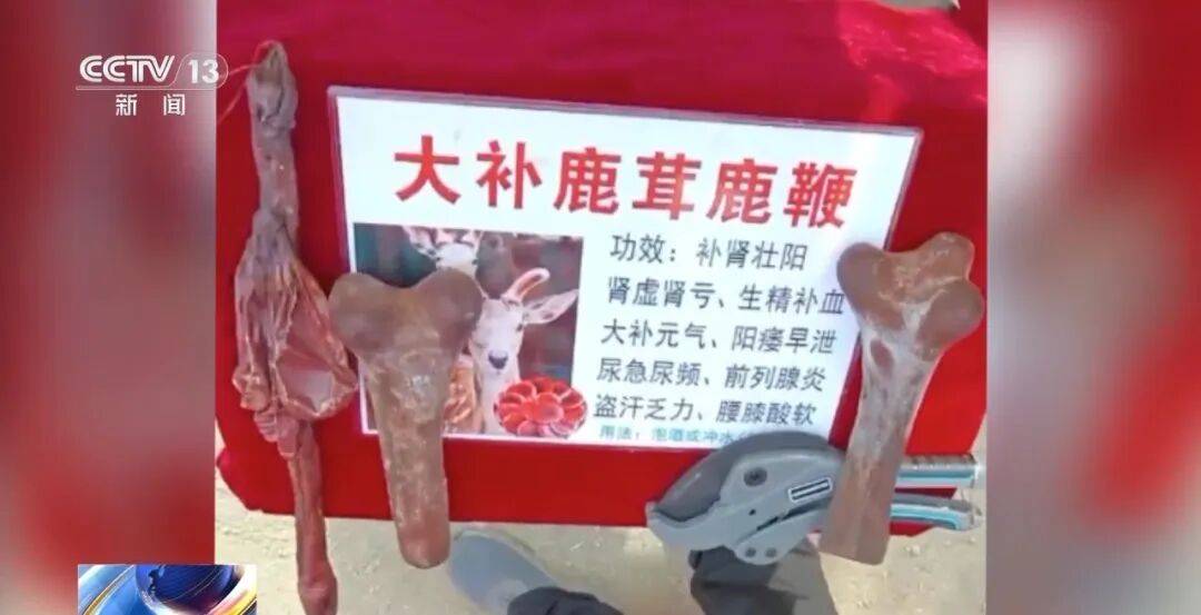 老人不买天价鹿茸被一脚踹翻,南京一团伙暴力威逼老人买单,100多人被骗,涉案金额90余万元,多数老人乖乖回家拿钱,甚至被逼去银行取款