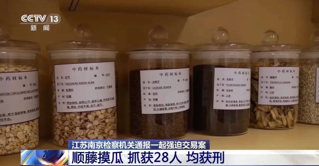 老人不买天价鹿茸被一脚踹翻,南京一团伙暴力威逼老人买单,100多人被骗,涉案金额90余万元,多数老人乖乖回家拿钱,甚至被逼去银行取款